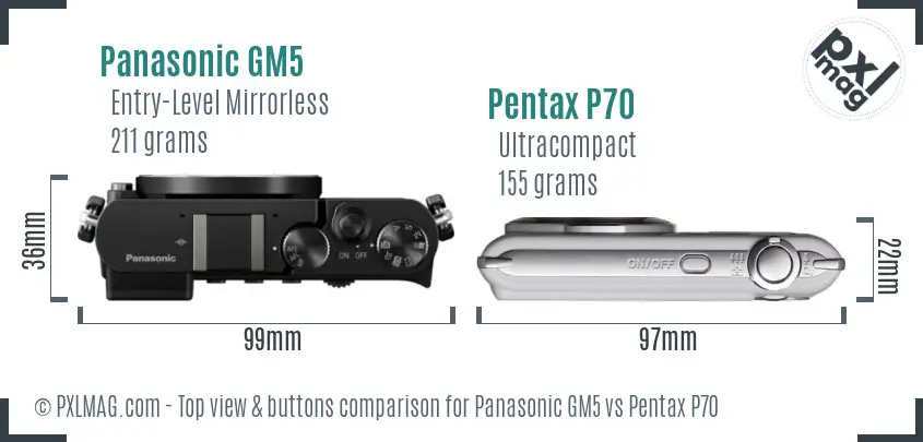 Panasonic GM5 vs Pentax P70 top view buttons comparison