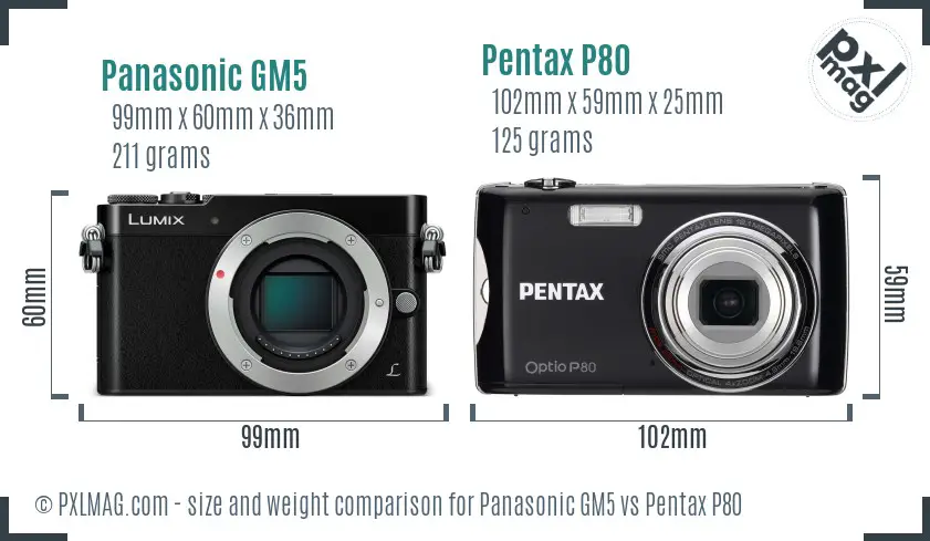 Panasonic GM5 vs Pentax P80 size comparison