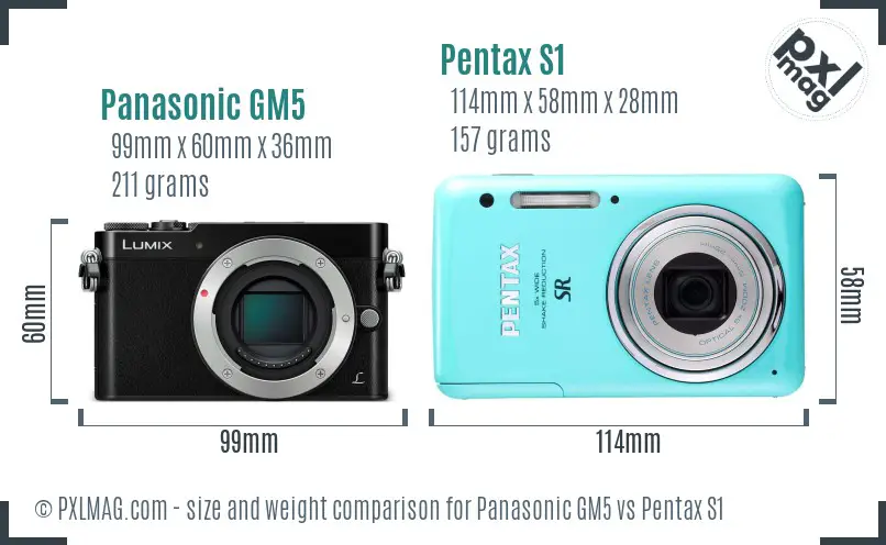 Panasonic GM5 vs Pentax S1 size comparison