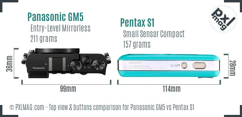 Panasonic GM5 vs Pentax S1 top view buttons comparison
