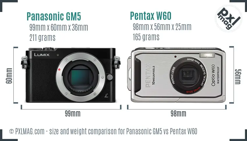Panasonic GM5 vs Pentax W60 size comparison