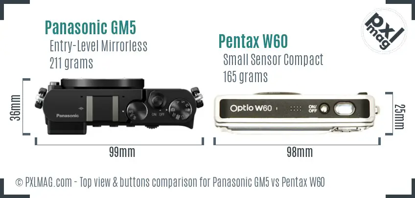 Panasonic GM5 vs Pentax W60 top view buttons comparison