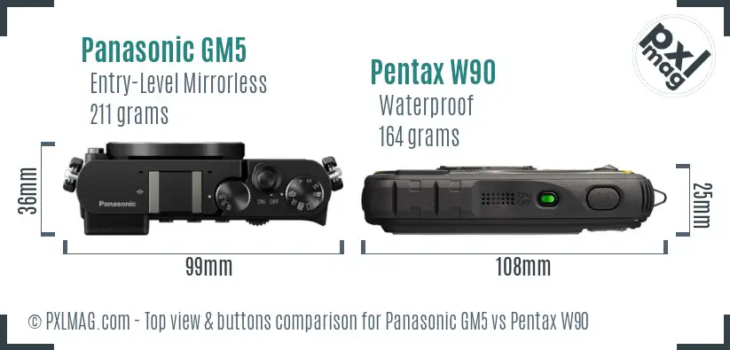 Panasonic GM5 vs Pentax W90 top view buttons comparison
