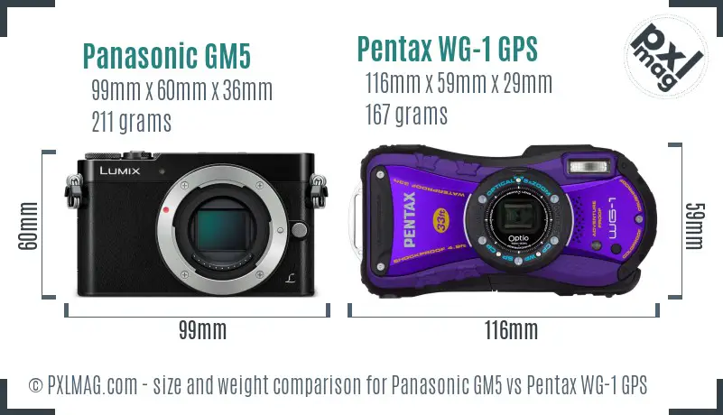 Panasonic GM5 vs Pentax WG-1 GPS size comparison