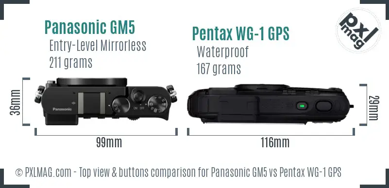 Panasonic GM5 vs Pentax WG-1 GPS top view buttons comparison