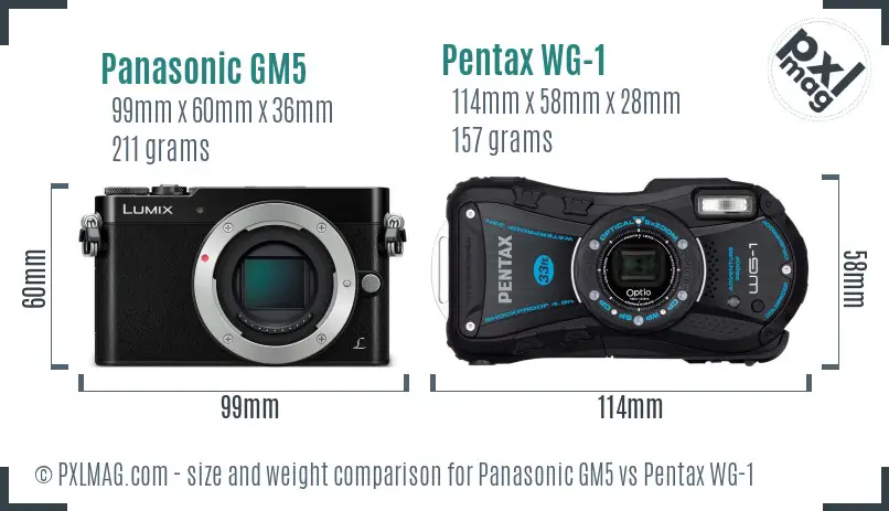 Panasonic GM5 vs Pentax WG-1 size comparison