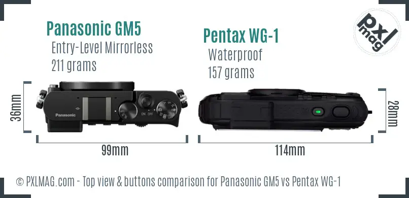 Panasonic GM5 vs Pentax WG-1 top view buttons comparison