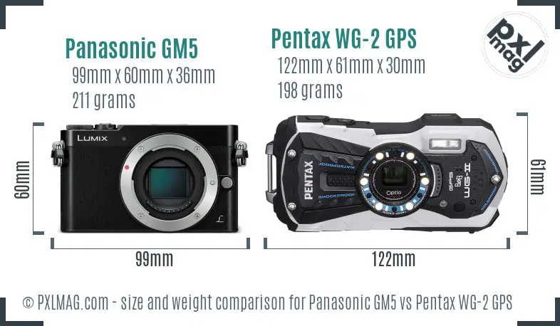 Panasonic GM5 vs Pentax WG-2 GPS size comparison