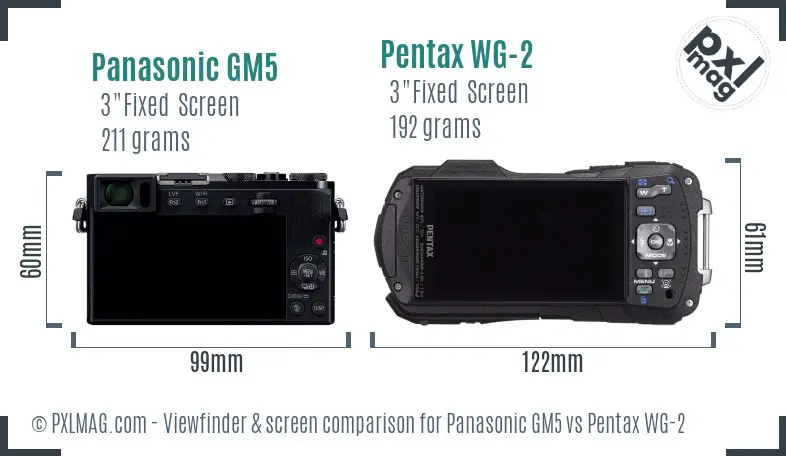 Panasonic GM5 vs Pentax WG-2 Screen and Viewfinder comparison