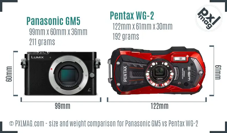 Panasonic GM5 vs Pentax WG-2 size comparison