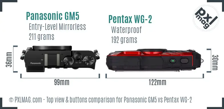 Panasonic GM5 vs Pentax WG-2 top view buttons comparison
