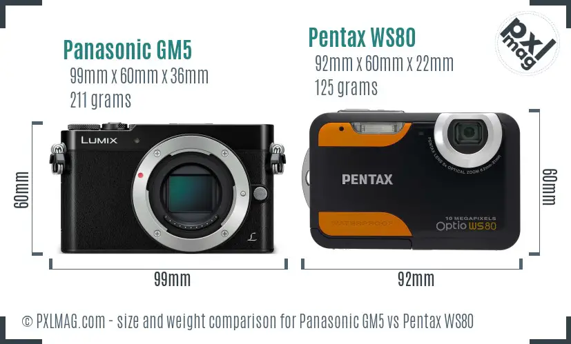 Panasonic GM5 vs Pentax WS80 size comparison