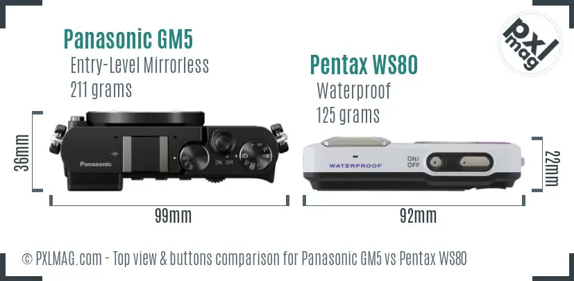 Panasonic GM5 vs Pentax WS80 top view buttons comparison