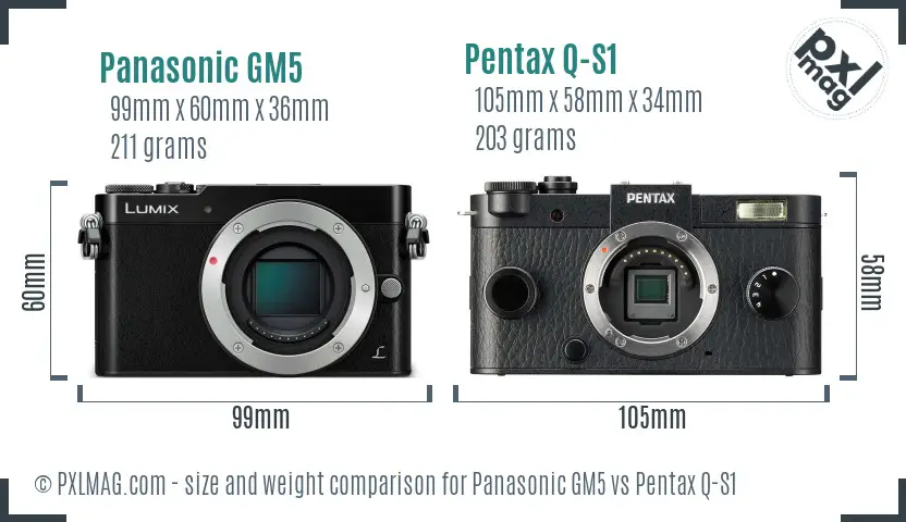 Panasonic GM5 vs Pentax Q-S1 size comparison