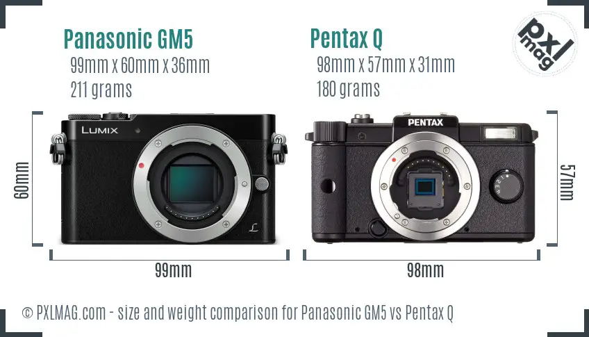 Panasonic GM5 vs Pentax Q size comparison
