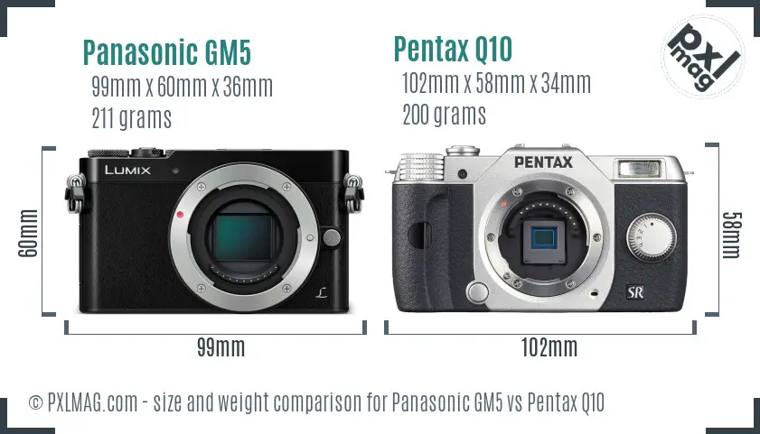 Panasonic GM5 vs Pentax Q10 size comparison