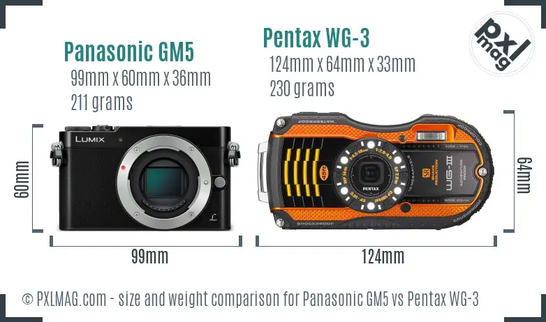 Panasonic GM5 vs Pentax WG-3 size comparison