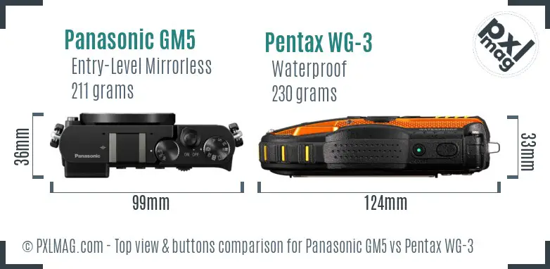 Panasonic GM5 vs Pentax WG-3 top view buttons comparison