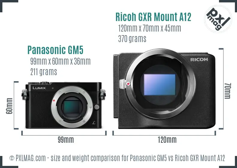 Panasonic GM5 vs Ricoh GXR Mount A12 size comparison
