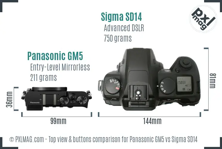 Panasonic GM5 vs Sigma SD14 top view buttons comparison