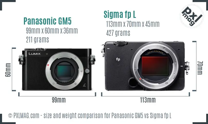 Panasonic GM5 vs Sigma fp L size comparison