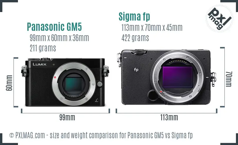 Panasonic GM5 vs Sigma fp size comparison