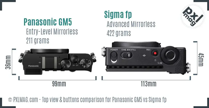 Panasonic GM5 vs Sigma fp top view buttons comparison