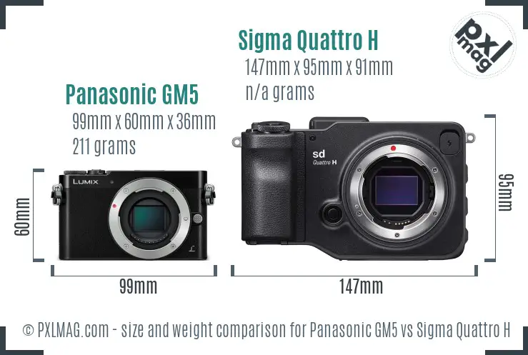 Panasonic GM5 vs Sigma Quattro H size comparison