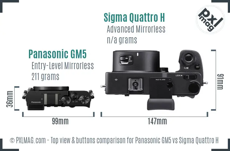 Panasonic GM5 vs Sigma Quattro H top view buttons comparison