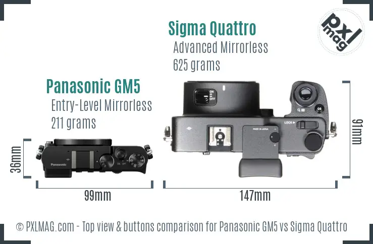 Panasonic GM5 vs Sigma Quattro top view buttons comparison