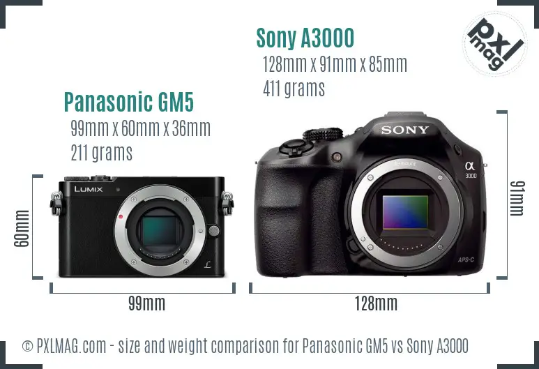 Panasonic GM5 vs Sony A3000 size comparison