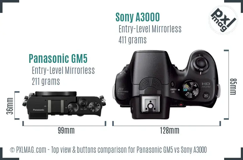 Panasonic GM5 vs Sony A3000 top view buttons comparison