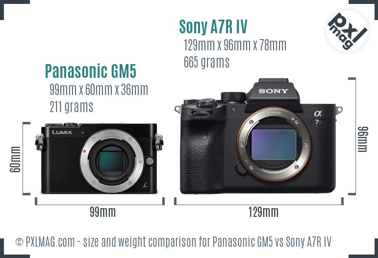 Panasonic GM5 vs Sony A7R IV size comparison