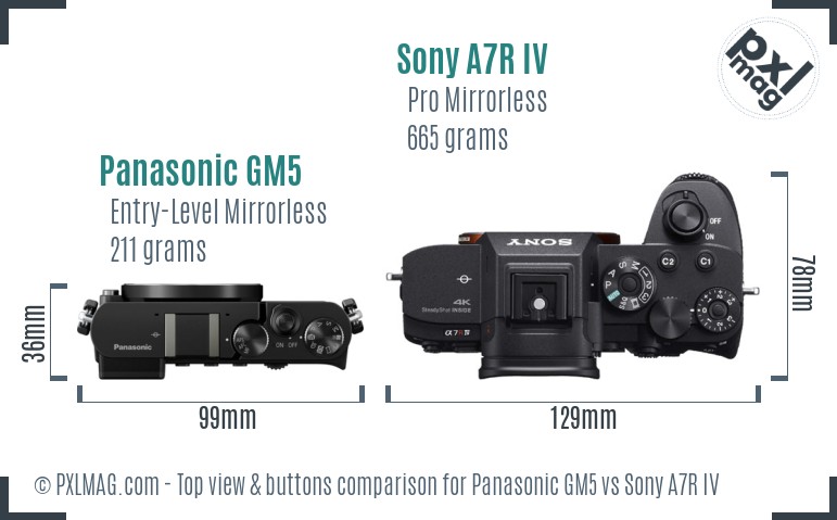Panasonic GM5 vs Sony A7R IV top view buttons comparison