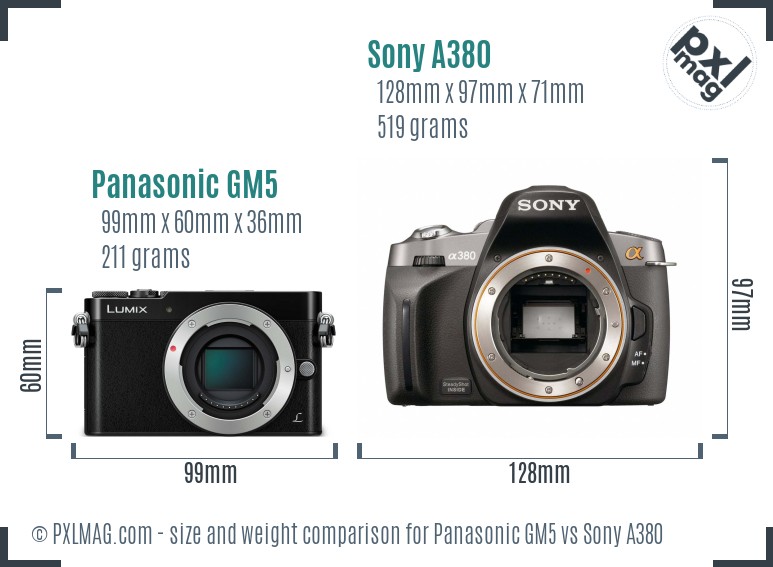 Panasonic GM5 vs Sony A380 size comparison