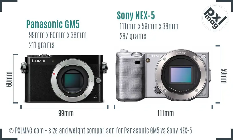 Panasonic GM5 vs Sony NEX-5 size comparison
