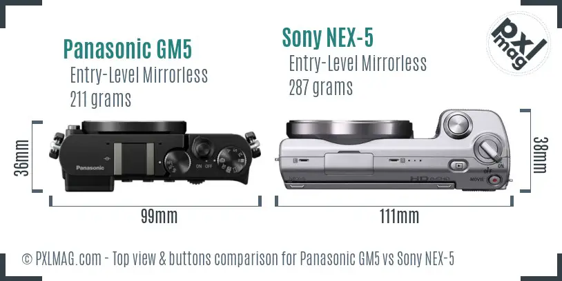 Panasonic GM5 vs Sony NEX-5 top view buttons comparison