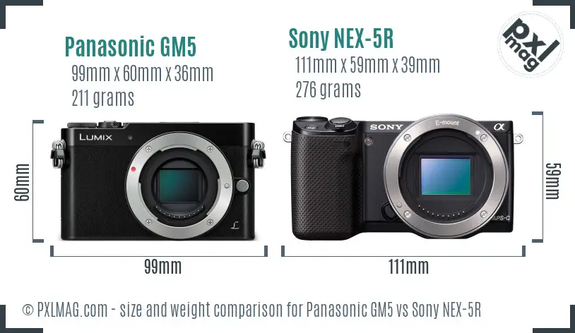 Panasonic GM5 vs Sony NEX-5R size comparison