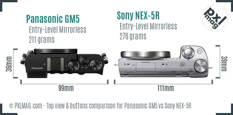 Panasonic GM5 vs Sony NEX-5R top view buttons comparison