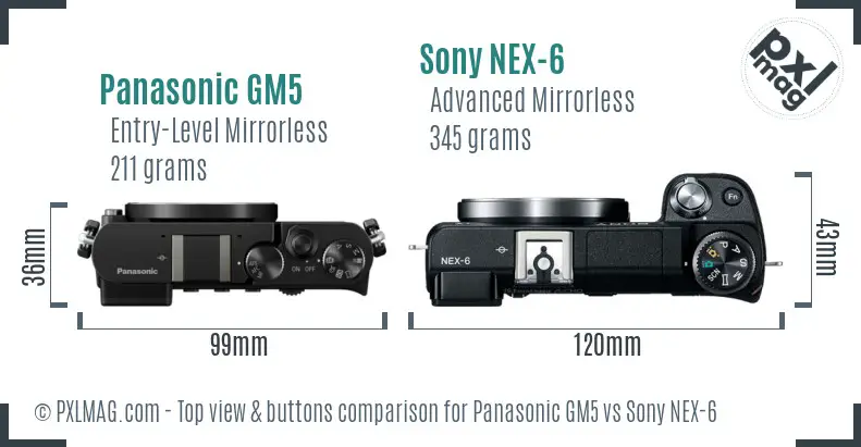 Panasonic GM5 vs Sony NEX-6 top view buttons comparison