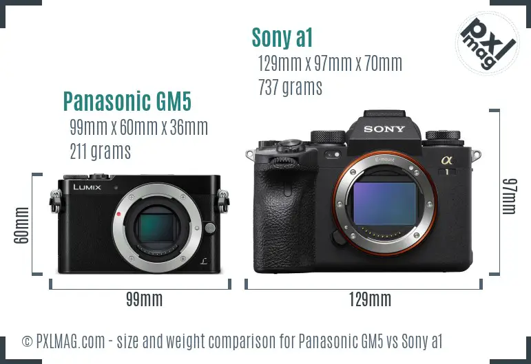 Panasonic GM5 vs Sony a1 size comparison