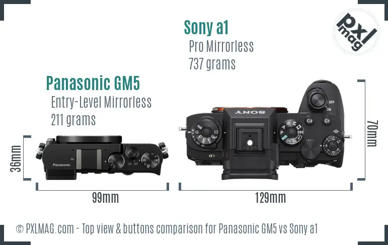 Panasonic GM5 vs Sony a1 top view buttons comparison