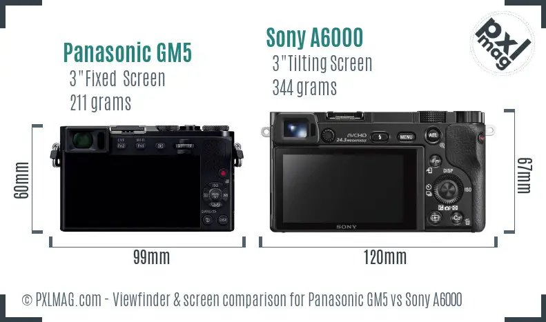 Panasonic GM5 vs Sony A6000 Screen and Viewfinder comparison