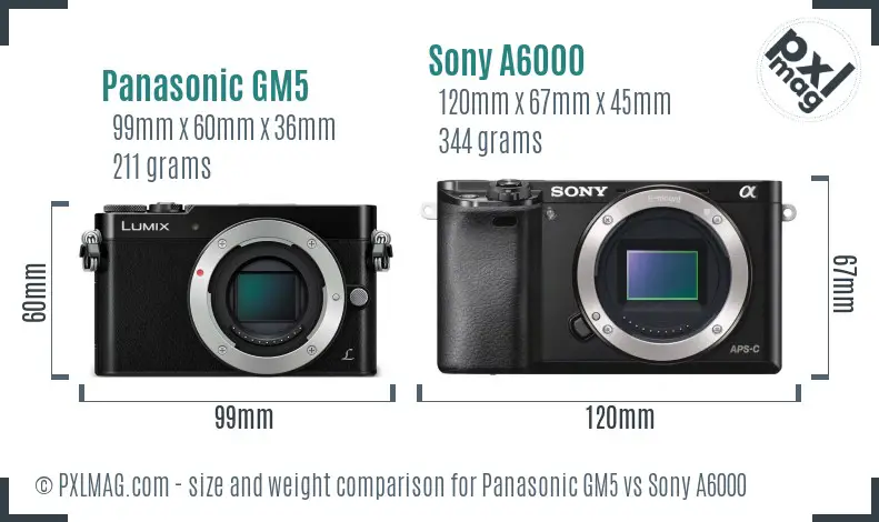 Panasonic GM5 vs Sony A6000 size comparison