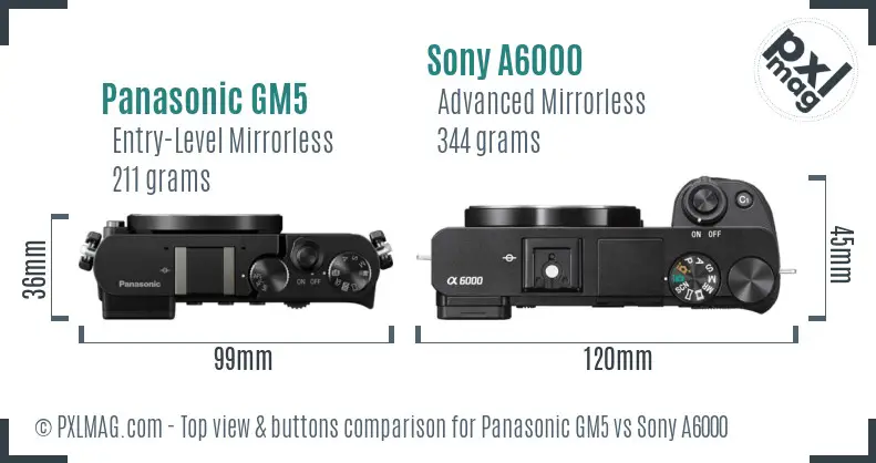 Panasonic GM5 vs Sony A6000 top view buttons comparison