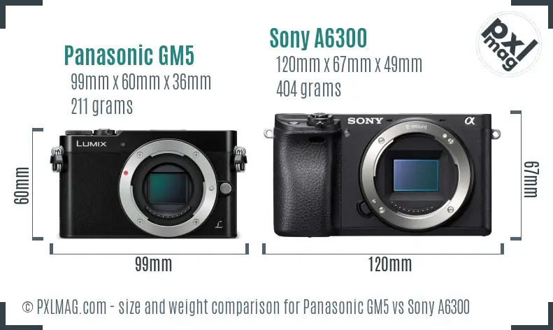 Panasonic GM5 vs Sony A6300 size comparison