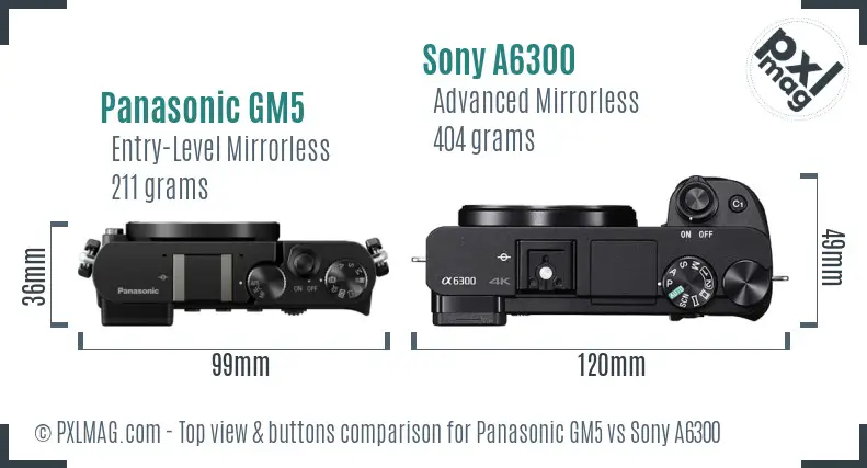 Panasonic GM5 vs Sony A6300 top view buttons comparison