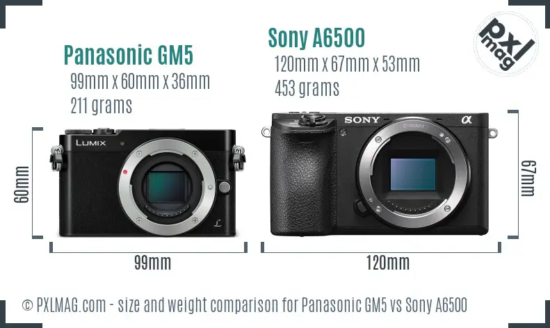 Panasonic GM5 vs Sony A6500 size comparison