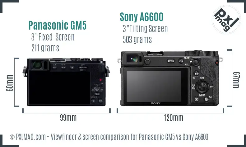 Panasonic GM5 vs Sony A6600 Screen and Viewfinder comparison