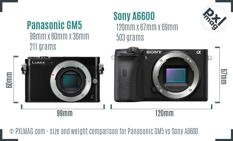 Panasonic GM5 vs Sony A6600 size comparison